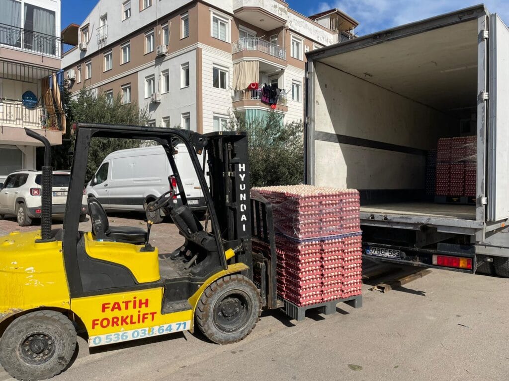 Antalya forklift